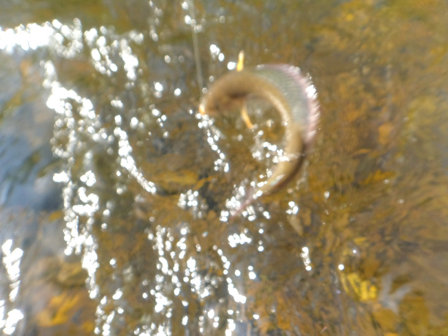 DSC00480.JPG