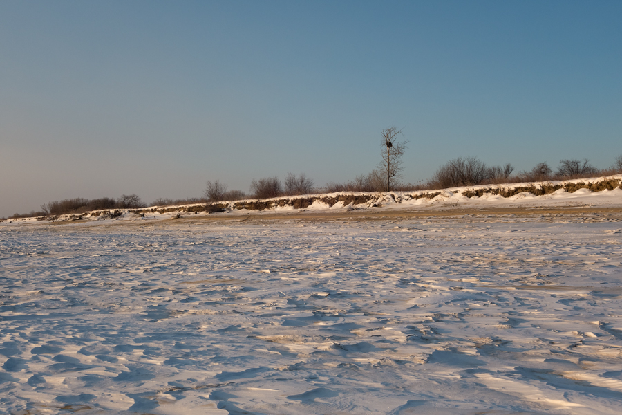 DSC00484.jpg