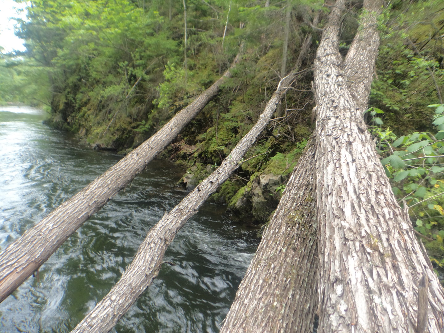 DSC00489.JPG