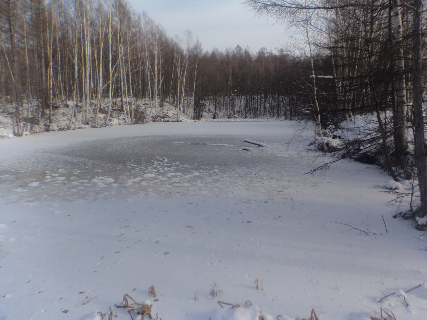 DSC00506.JPG