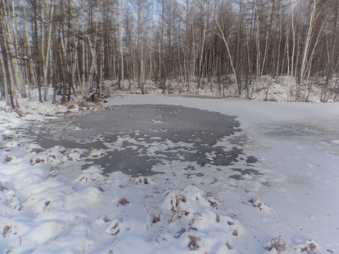 DSC00507.JPG