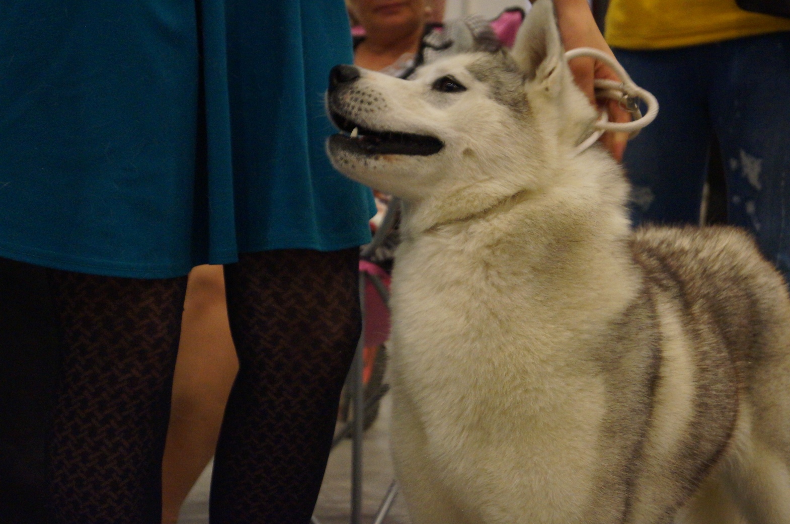 DSC00513.JPG