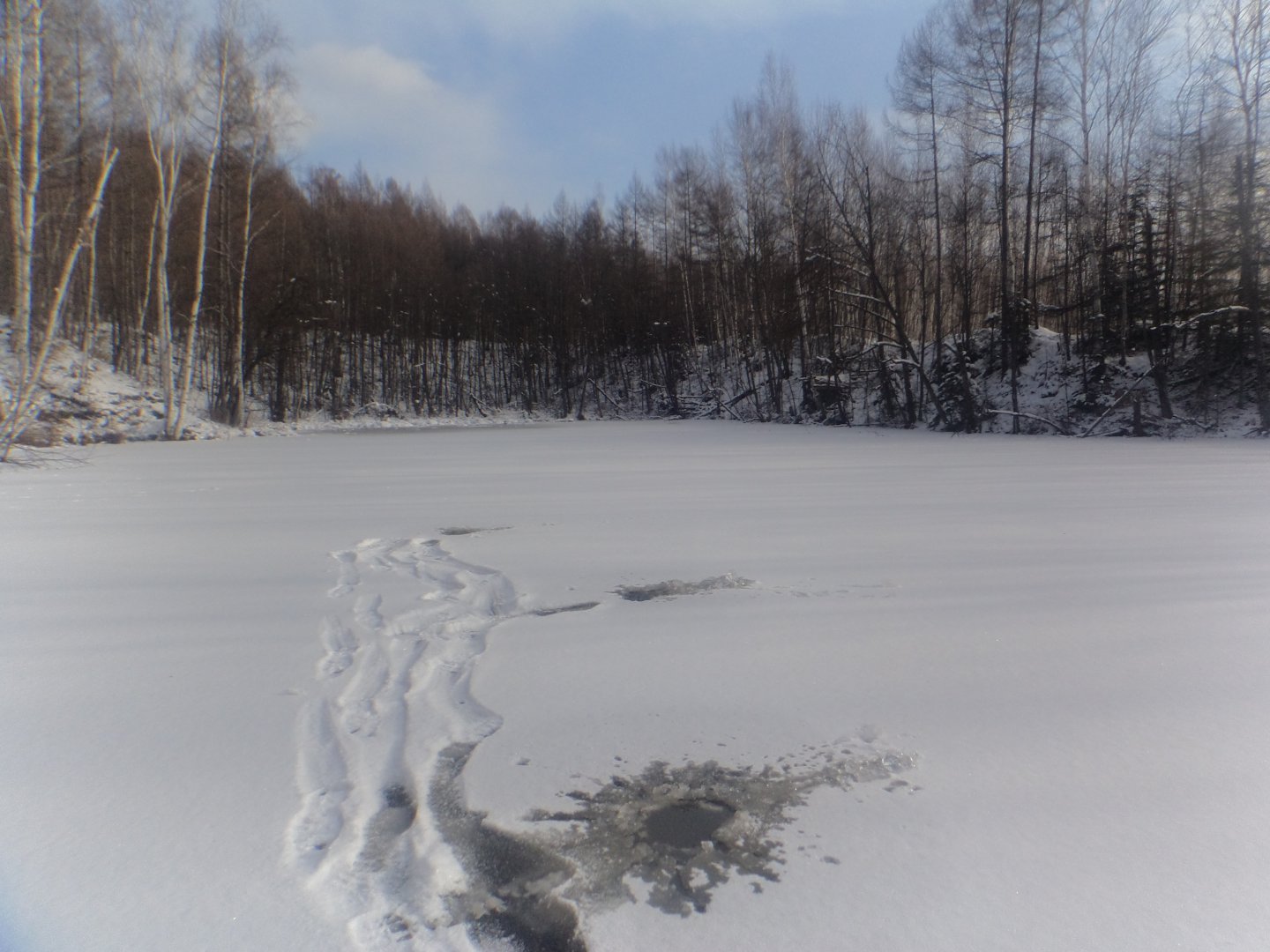 DSC00521.JPG