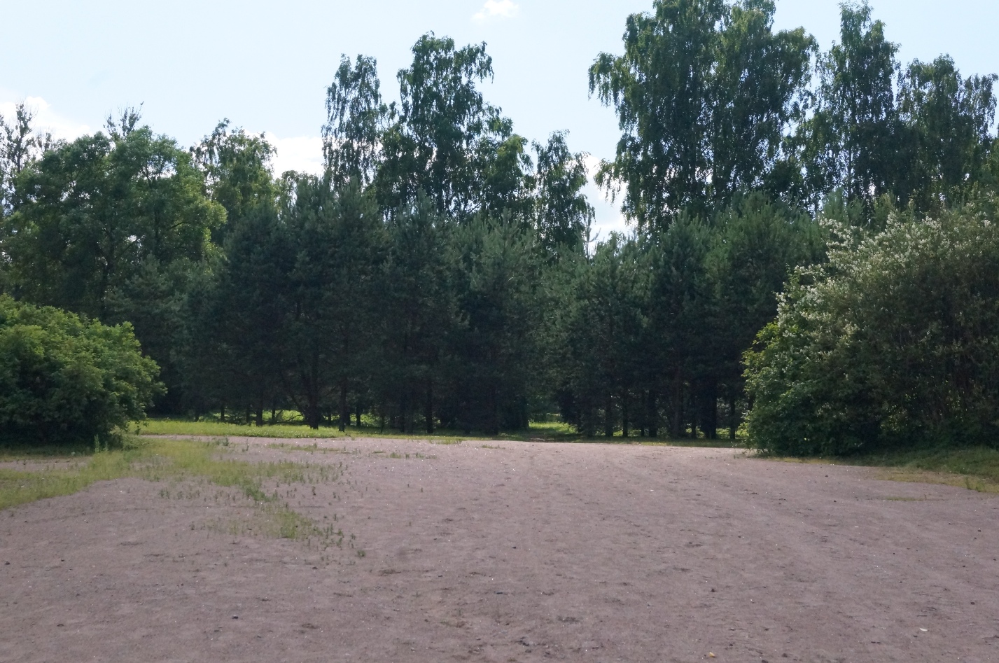 DSC00539.JPG
