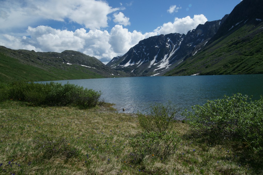 DSC00546.jpg