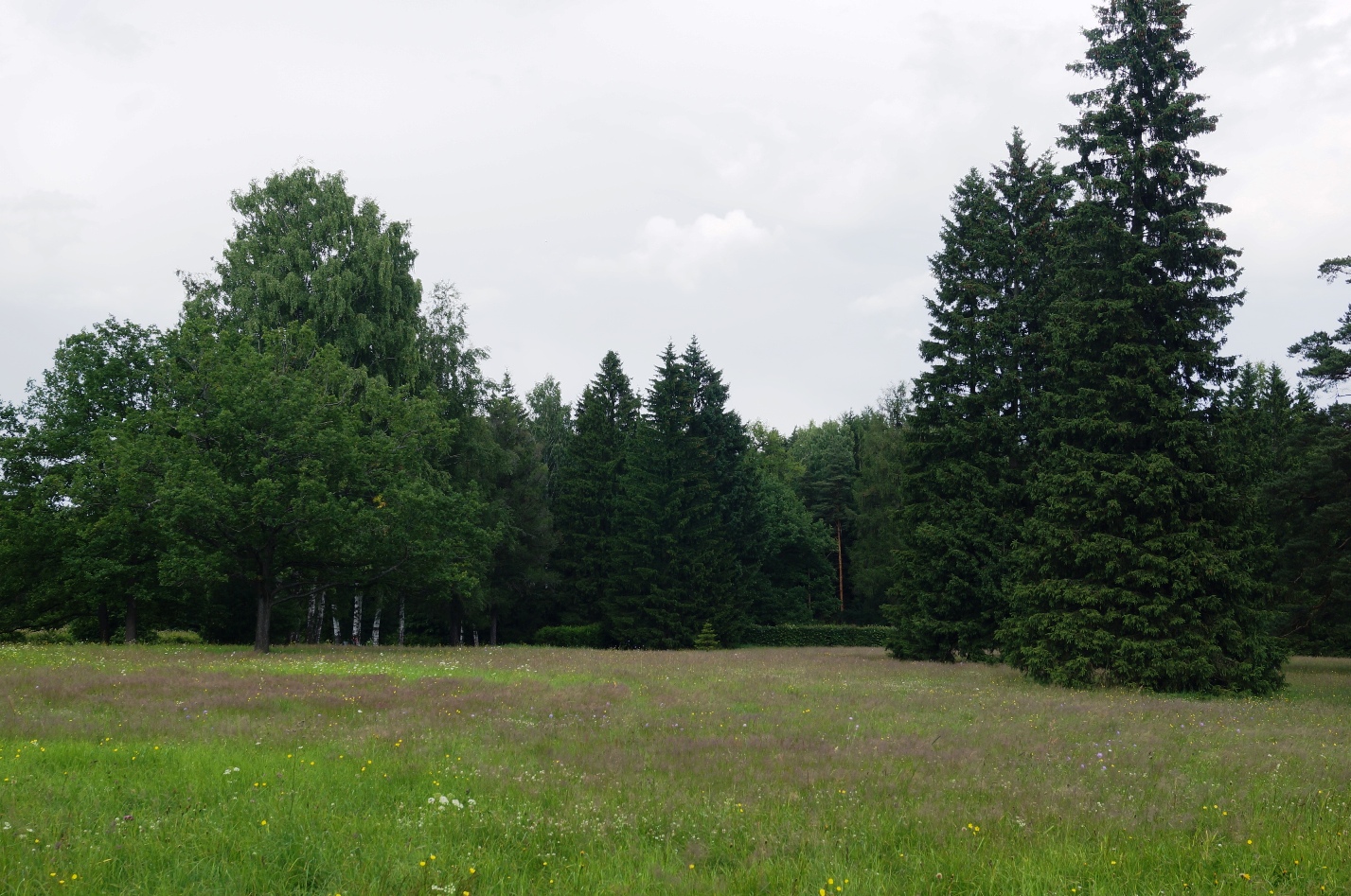DSC00546.JPG
