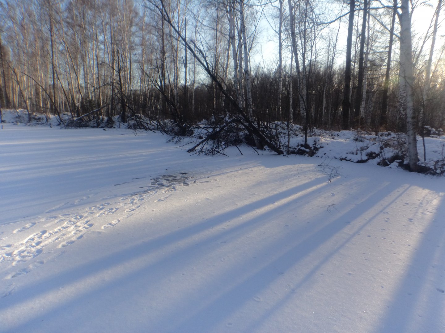 DSC00554.JPG