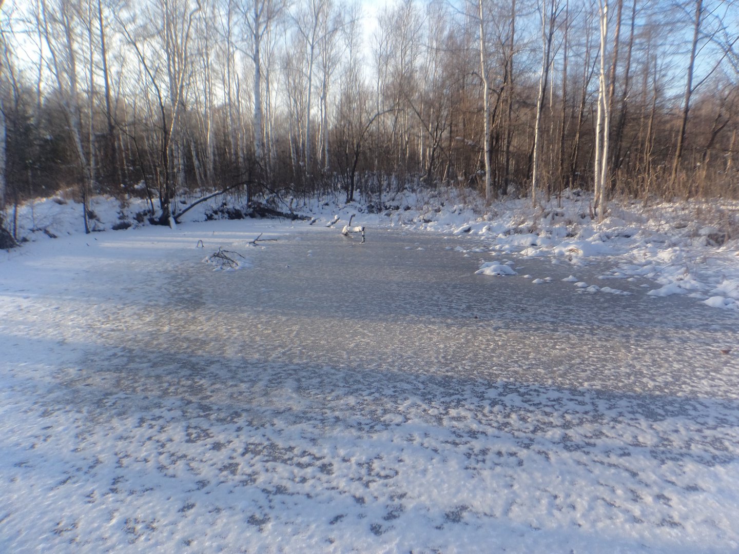 DSC00555.JPG