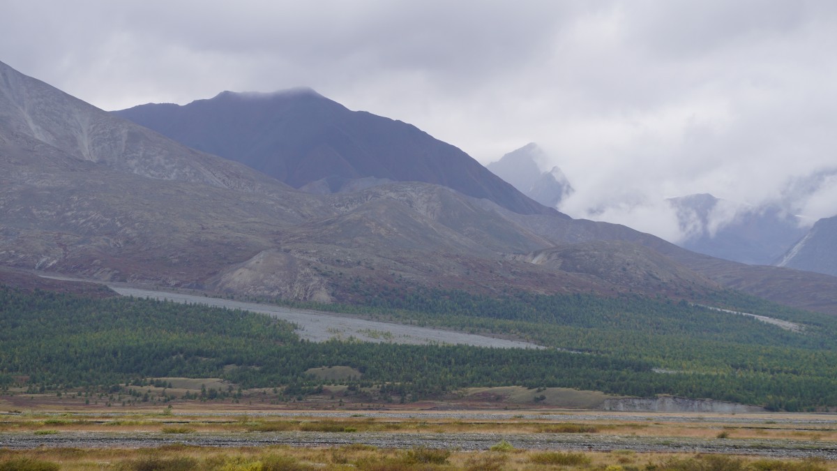 DSC00597 [Оригинальный размер].jpg