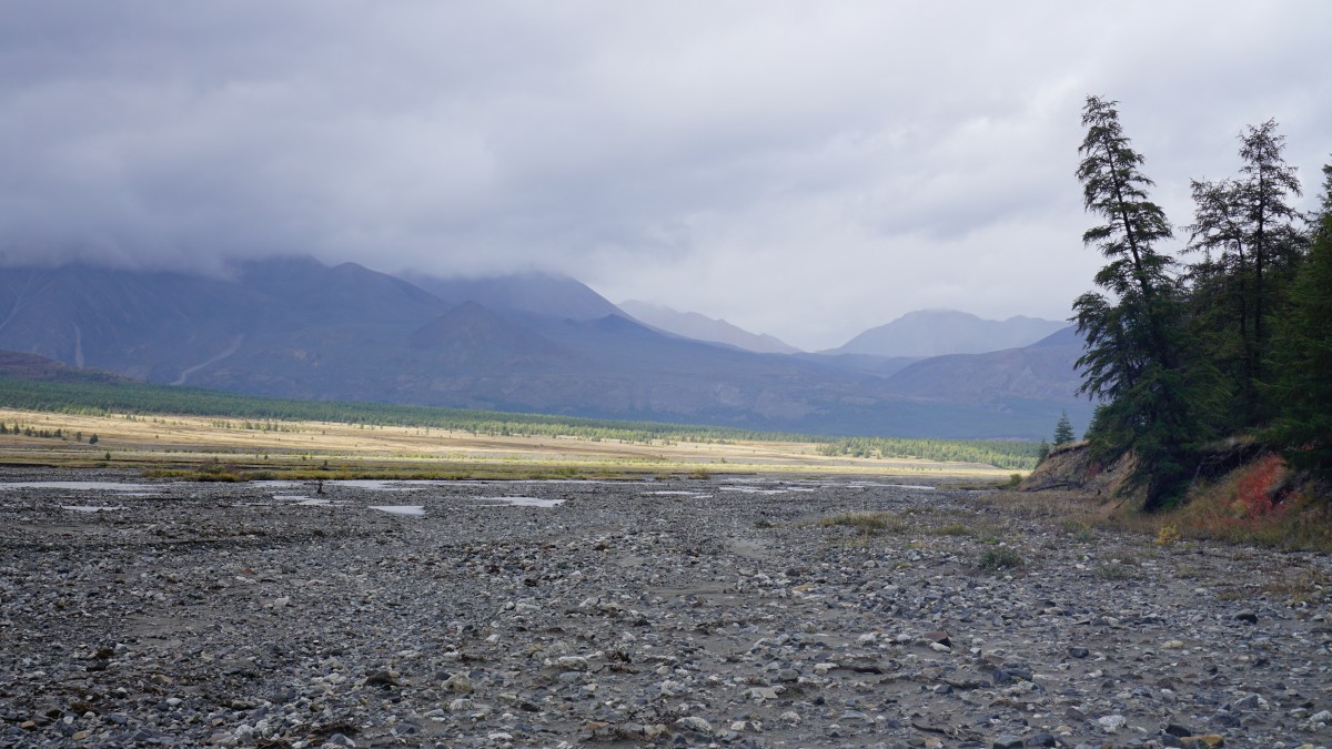 DSC00608 [Оригинальный размер].jpg
