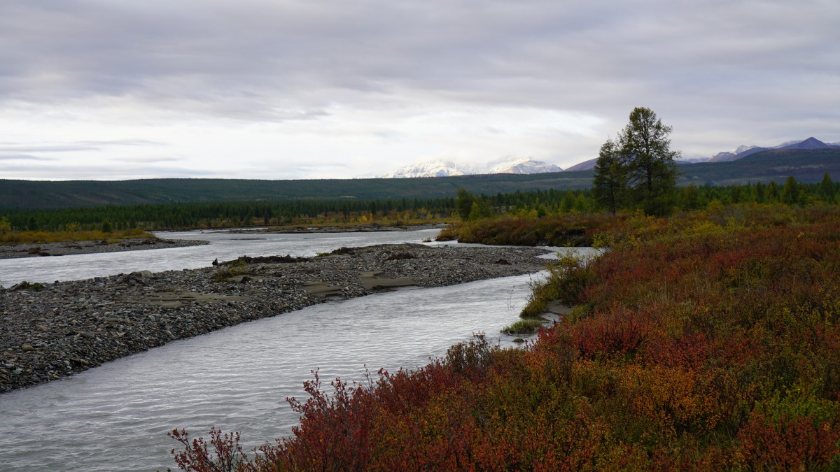 DSC00647 [Оригинальный размер].jpg