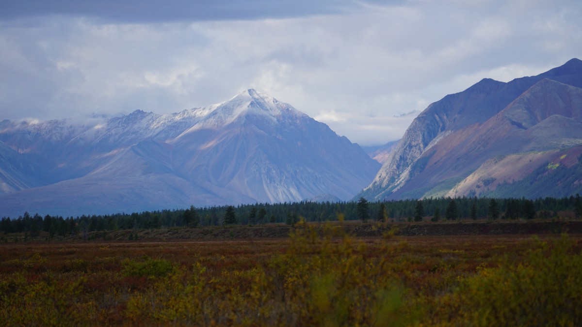 DSC00661 [Оригинальный размер].jpg