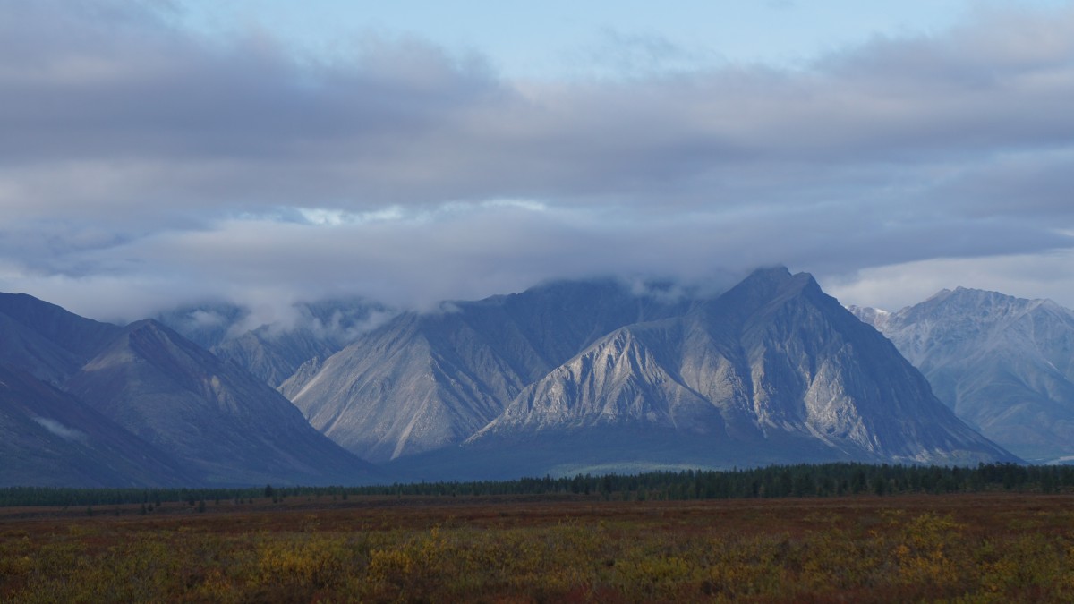 DSC00668 [Оригинальный размер].jpg
