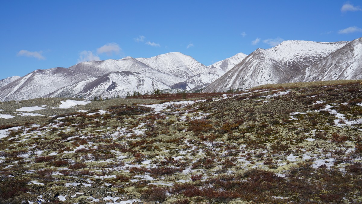 DSC00687 [Оригинальный размер].jpg