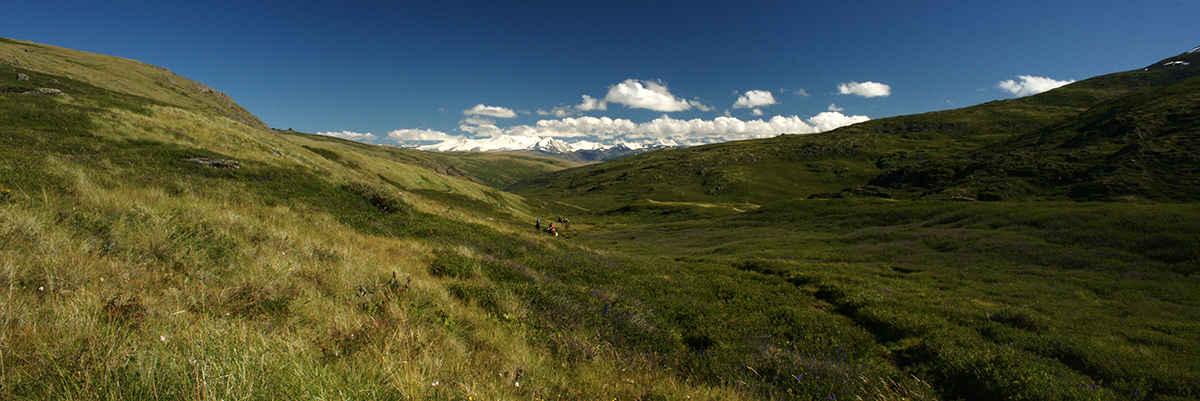 DSC00699_2.jpg