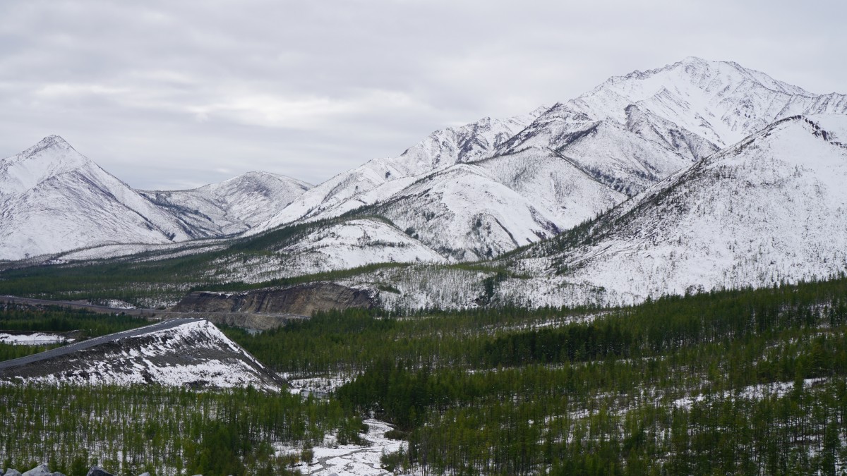 DSC00710 [Оригинальный размер].jpg