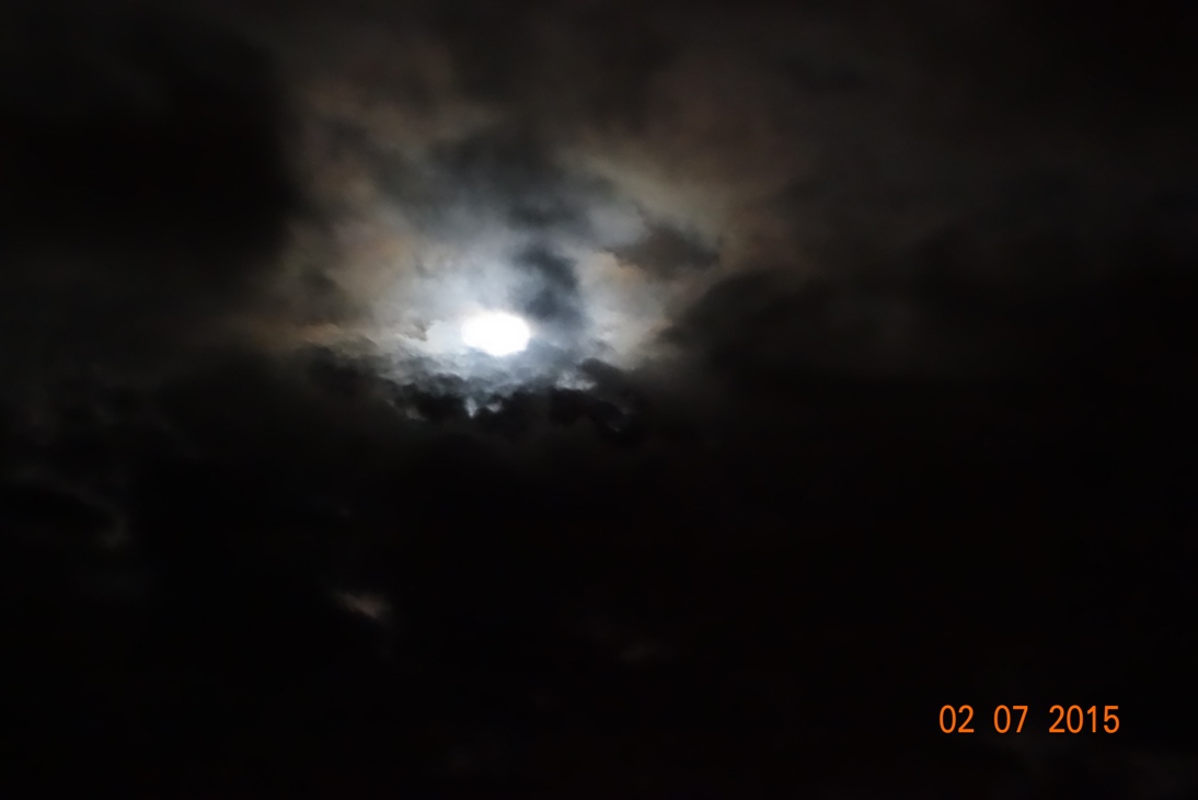 DSC00722.JPG