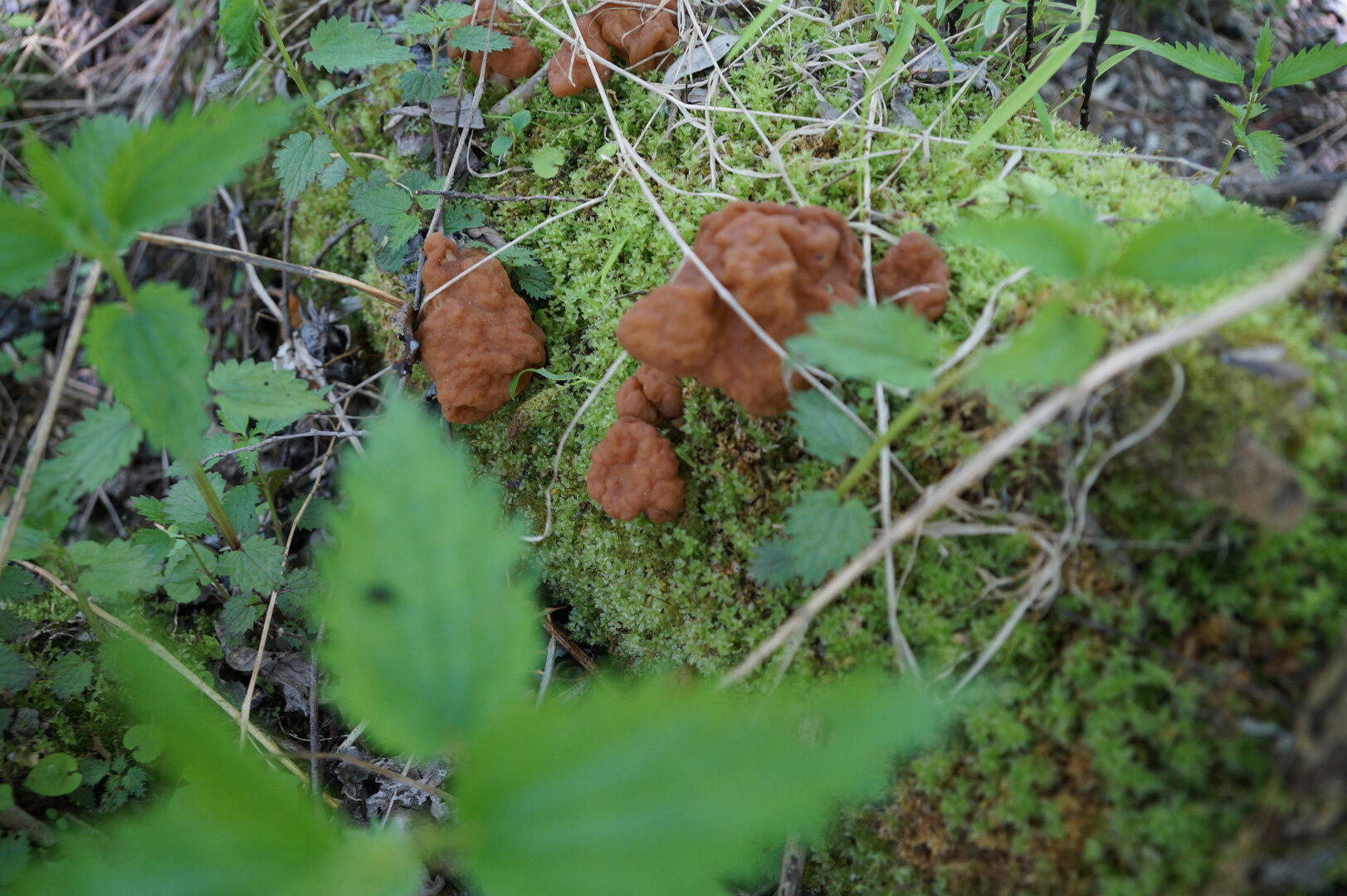 DSC00755.JPG