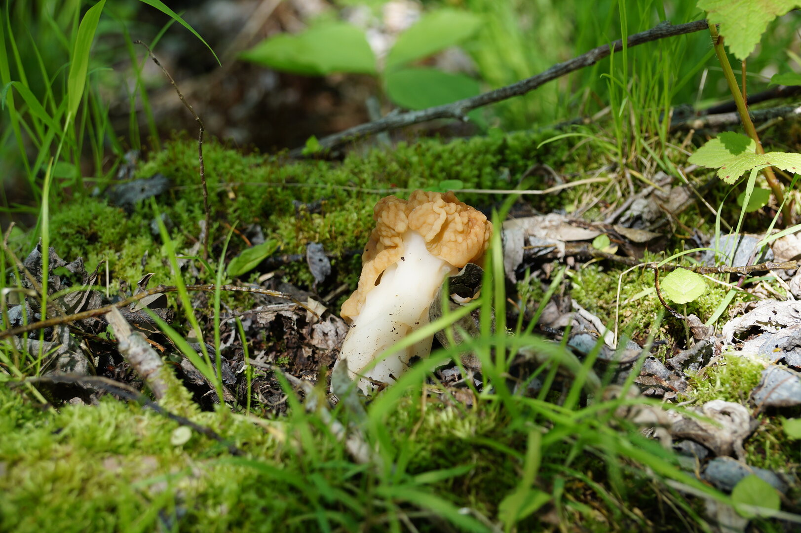 DSC00756.JPG