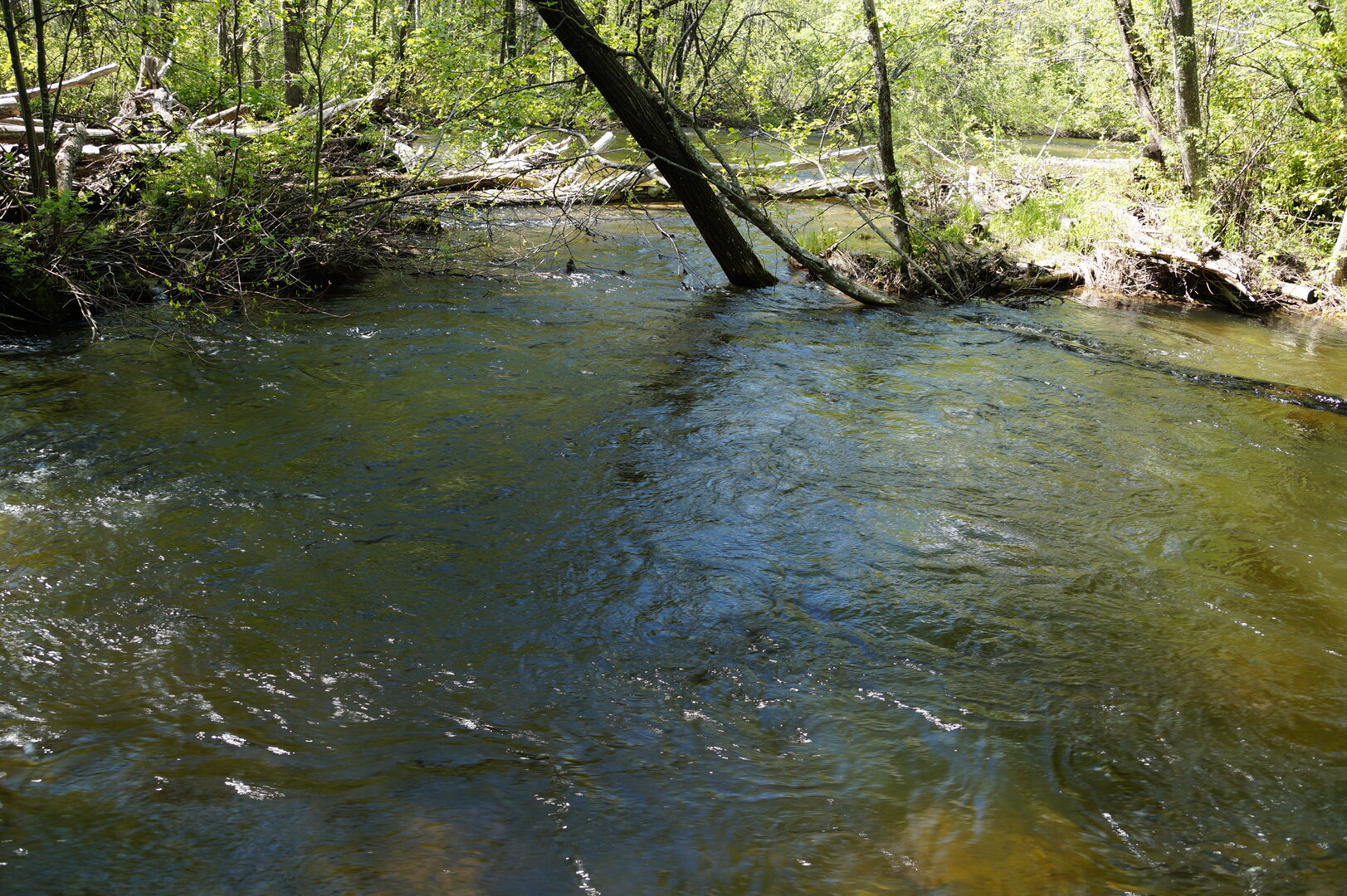 DSC00760.JPG