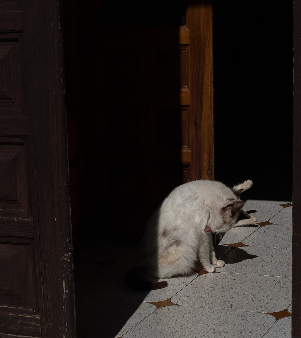 DSC00761.jpg