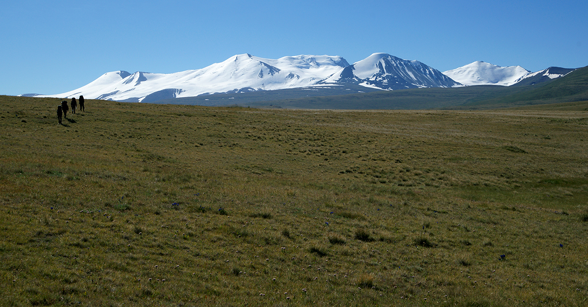 DSC00762_2.jpg