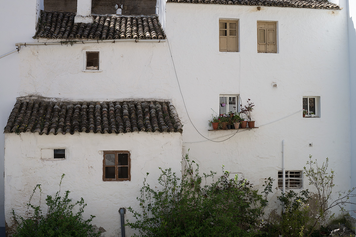 DSC00784.jpg