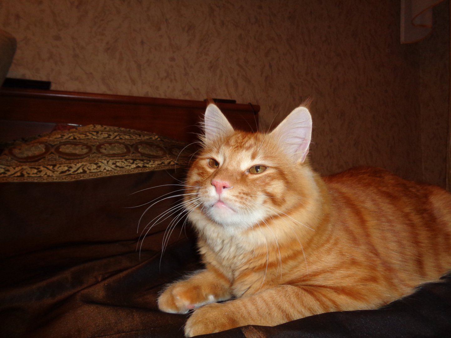 DSC00787.JPG