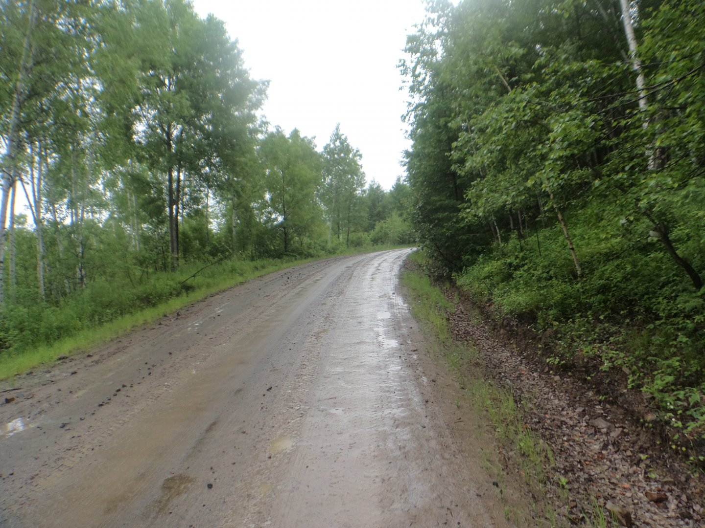 DSC00788.JPG