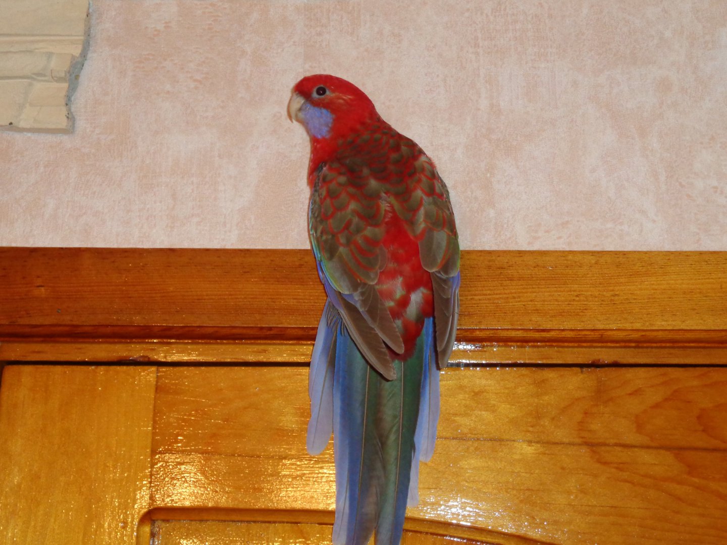 DSC00789.JPG