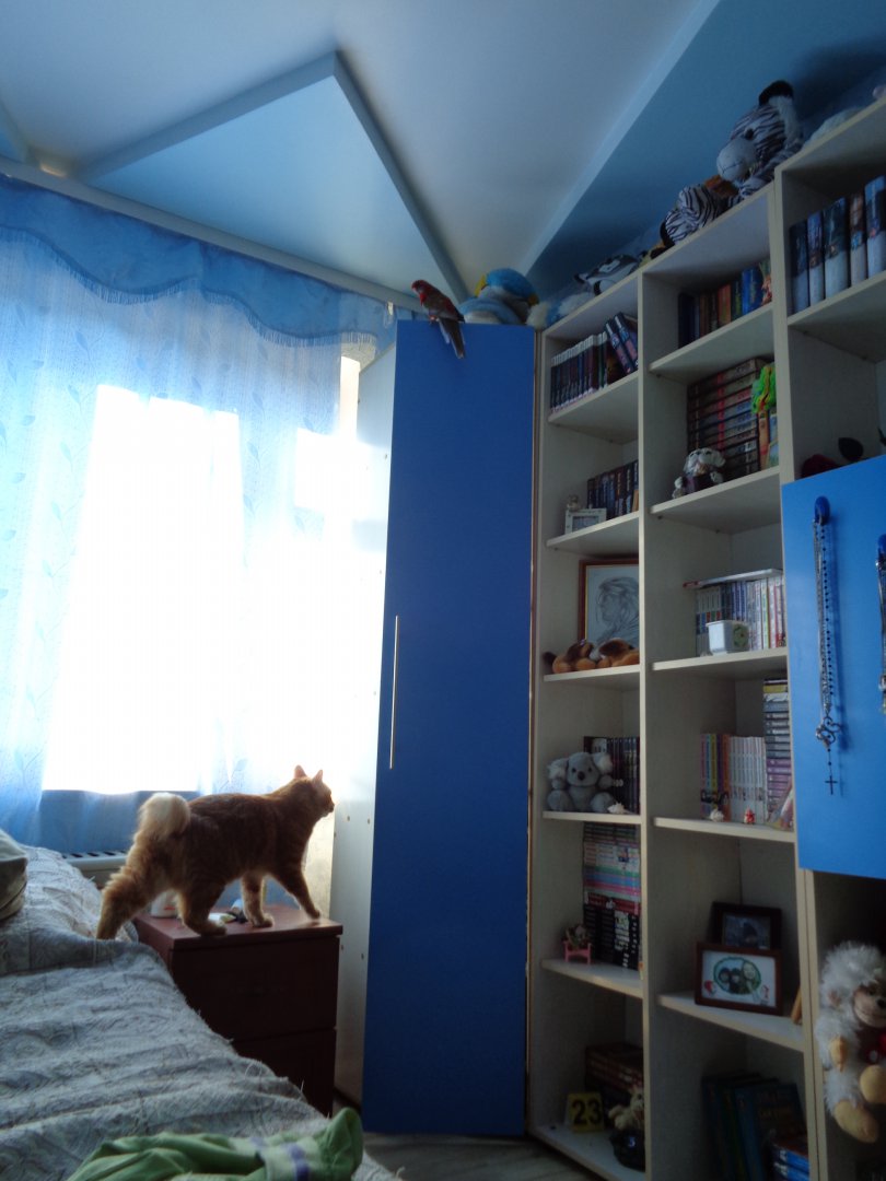 DSC00813.JPG