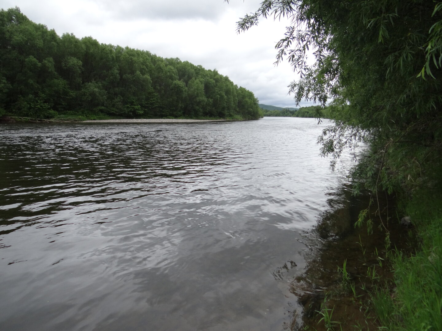 DSC00835.JPG