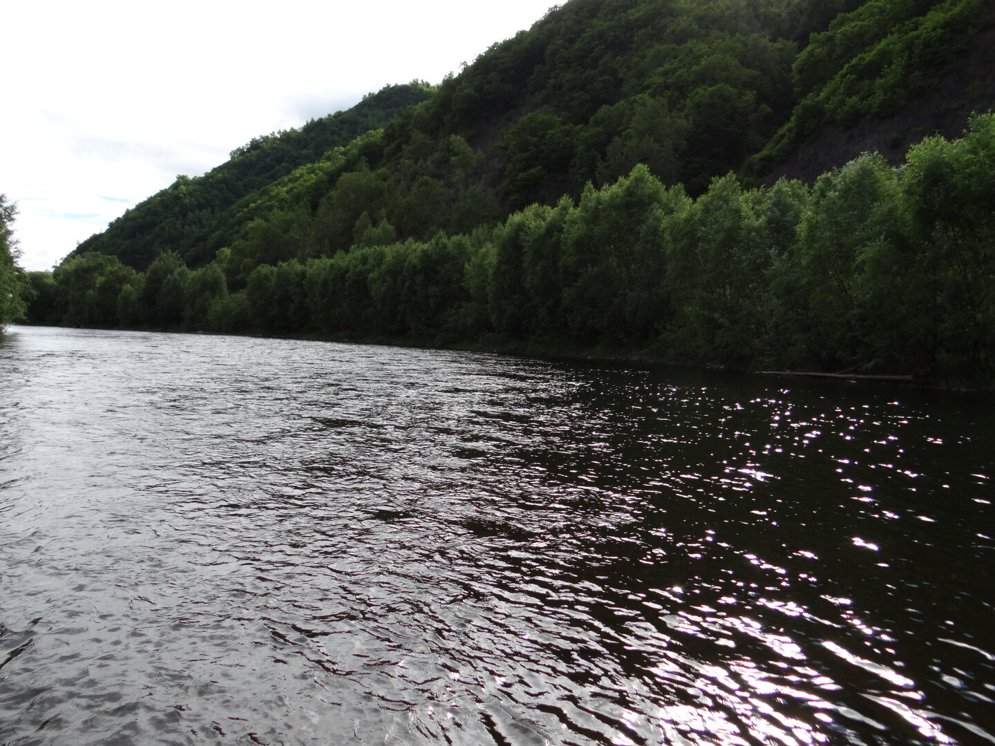 DSC00845.JPG