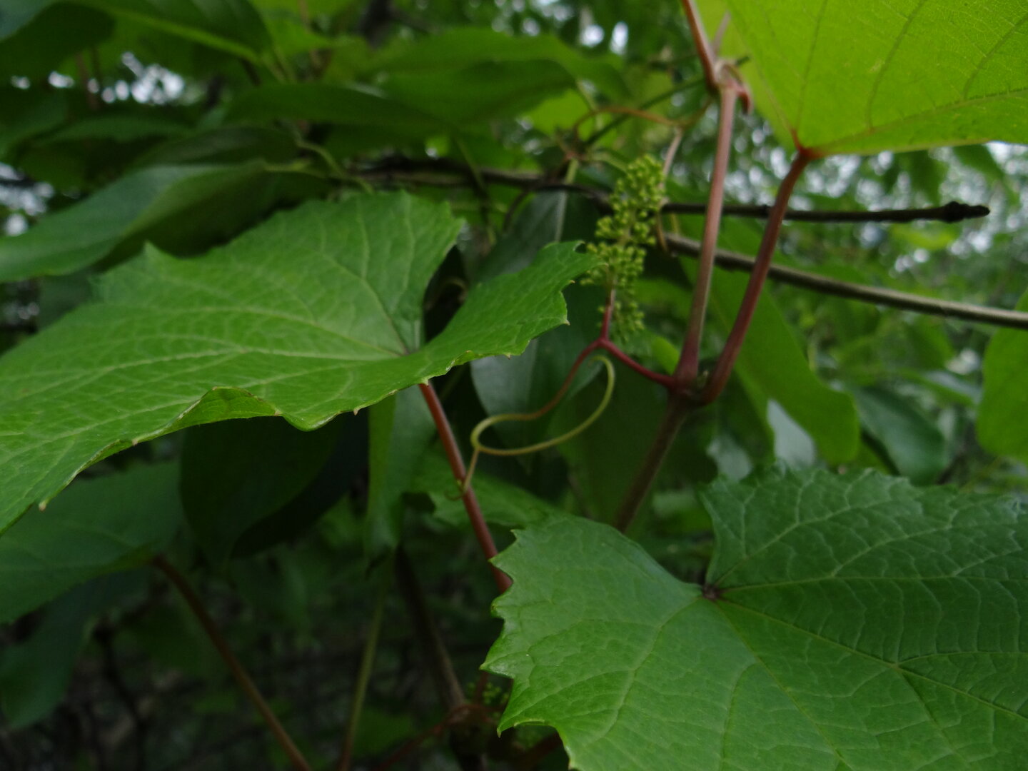 DSC00846.JPG