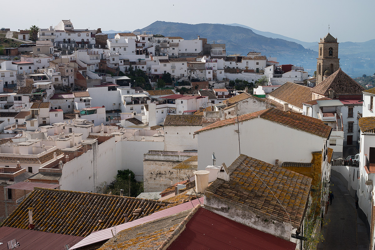 DSC00855.jpg