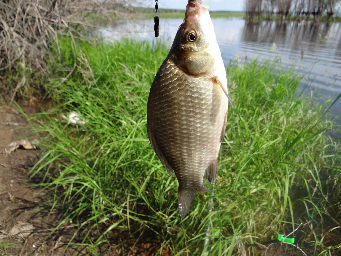DSC00870.JPG