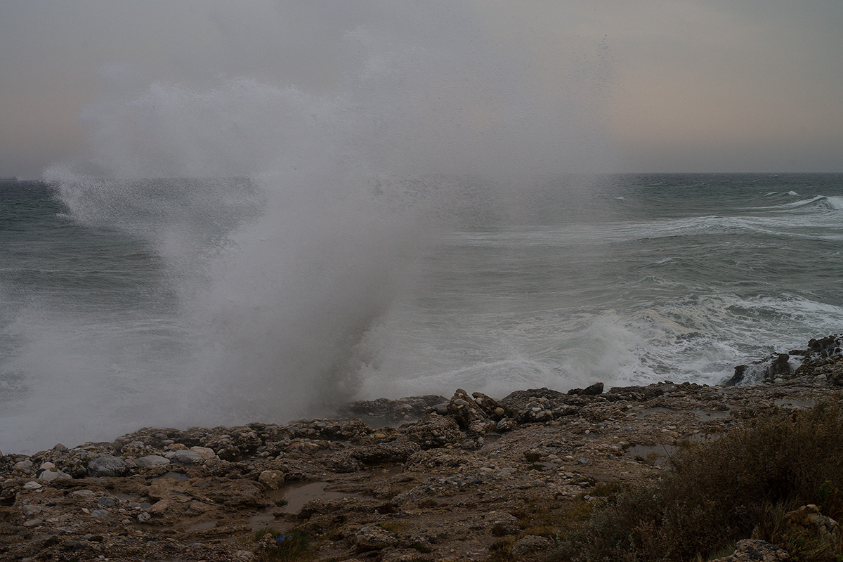 DSC00890.jpg