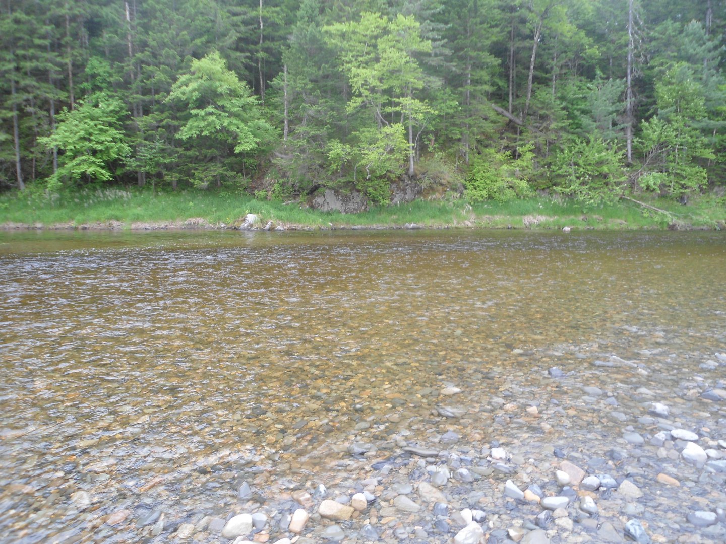 DSC00901.JPG