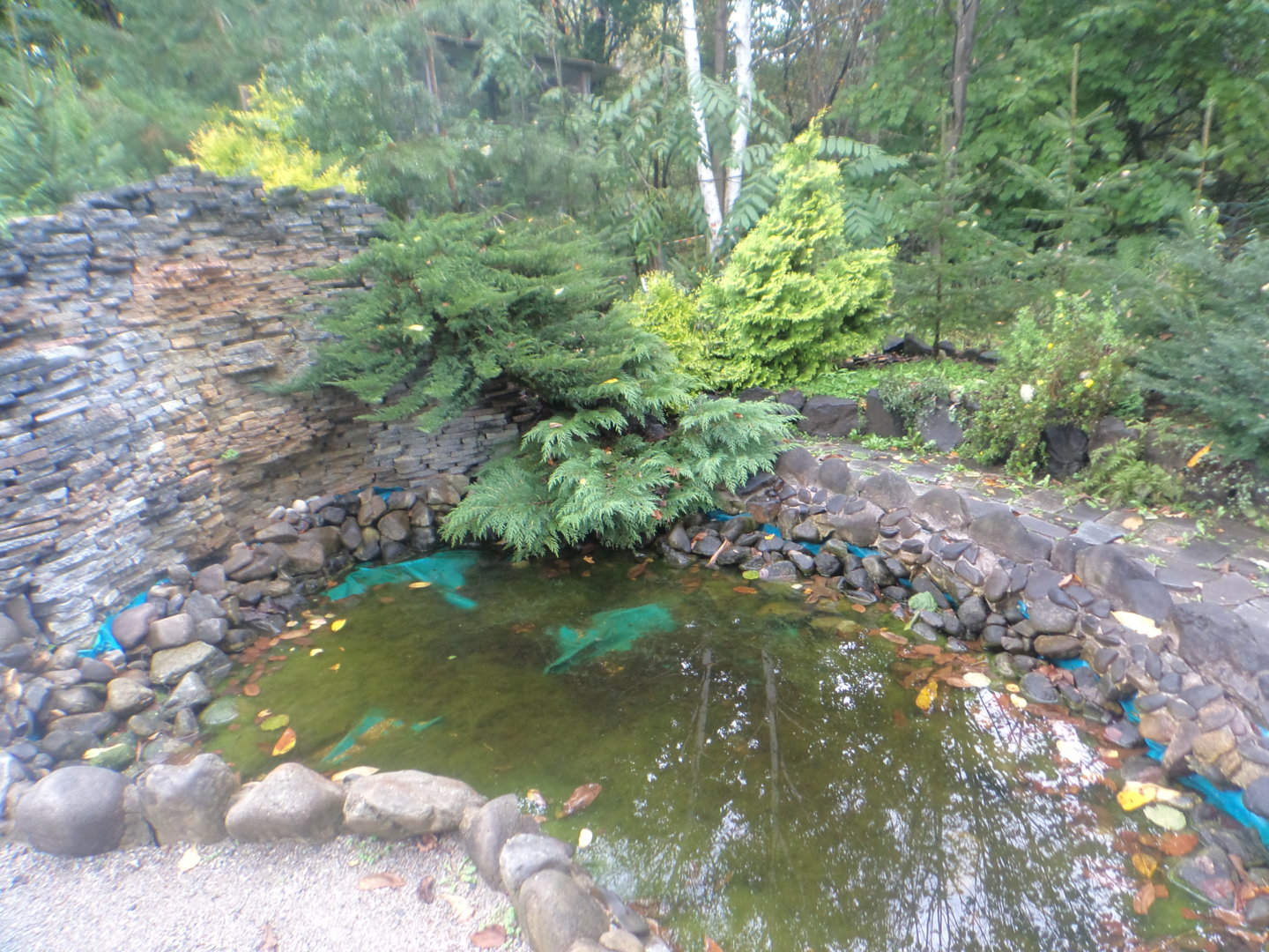 DSC00911.JPG