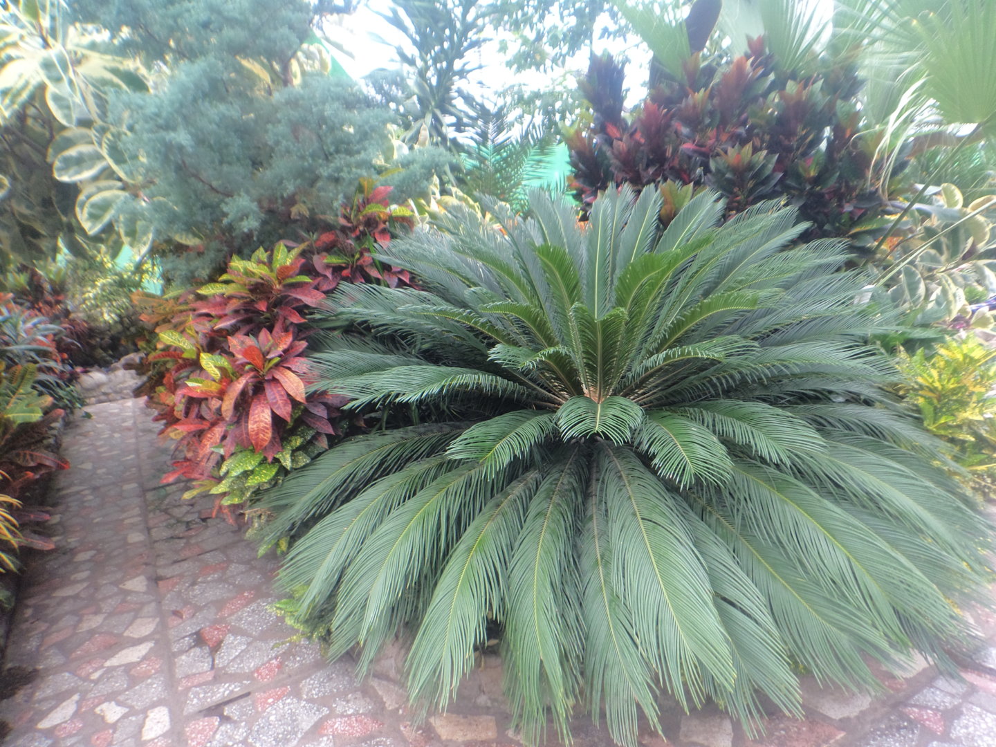 DSC00972.JPG