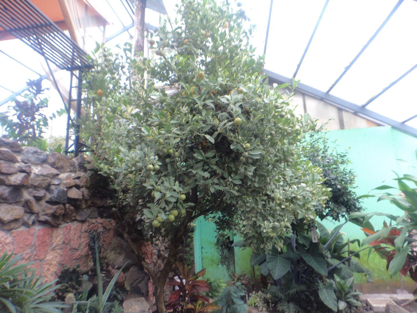 DSC00974.JPG