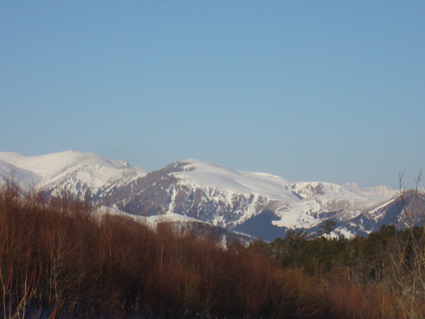 DSC00991.JPG