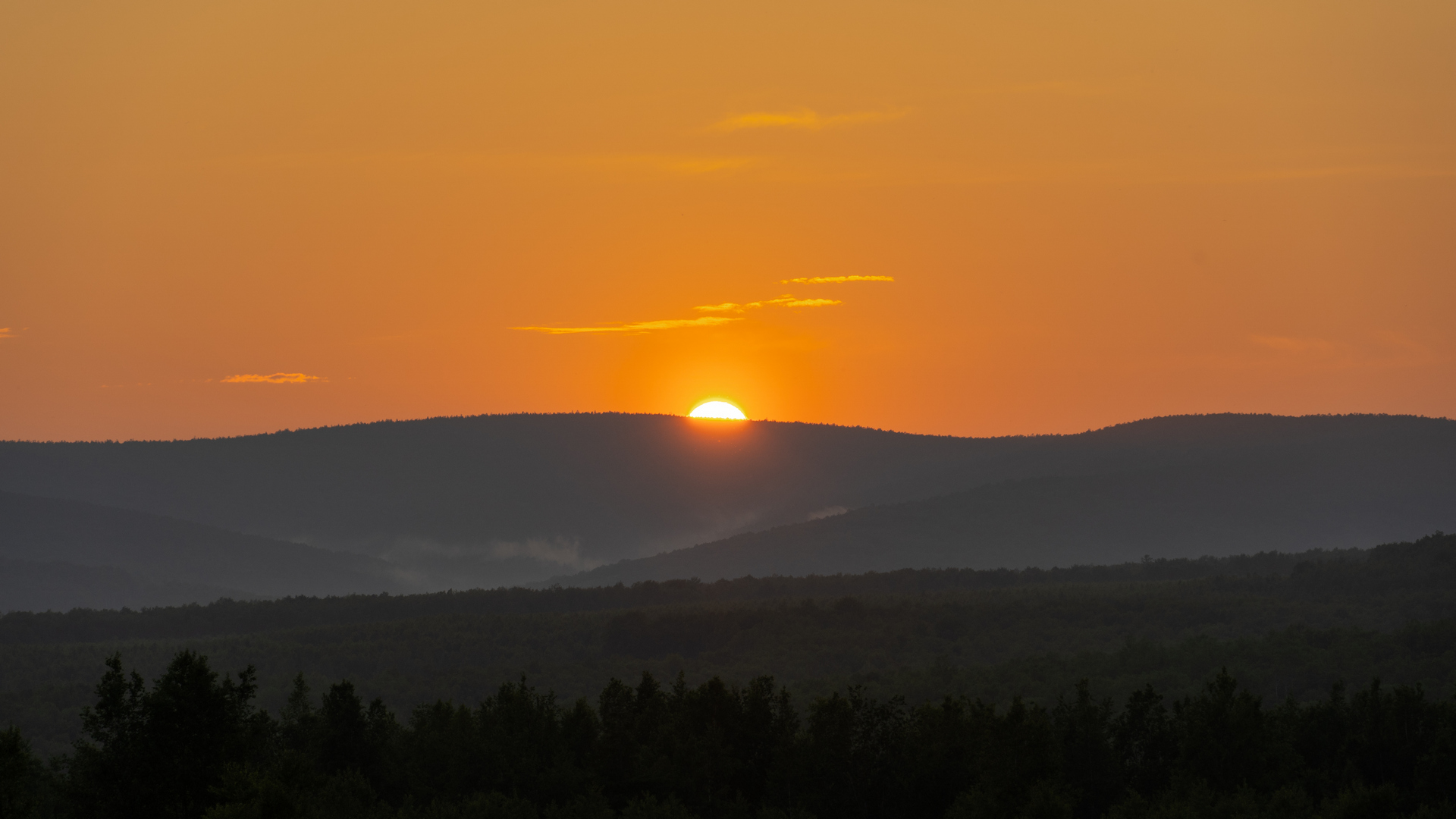 DSC00999-1.jpg