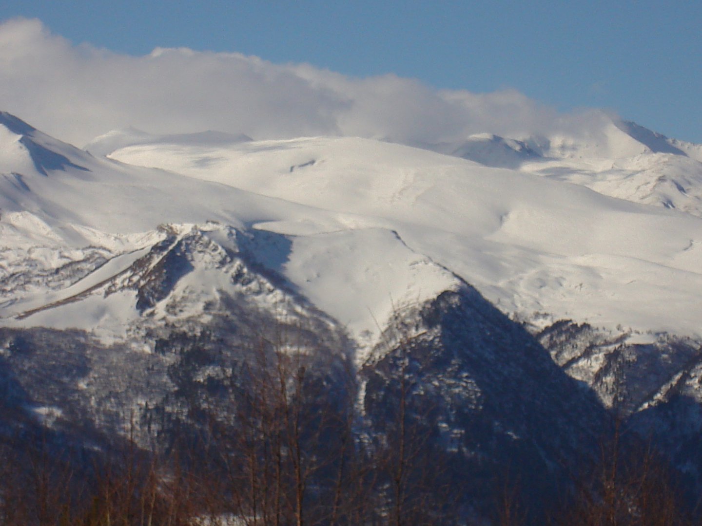DSC01011.JPG