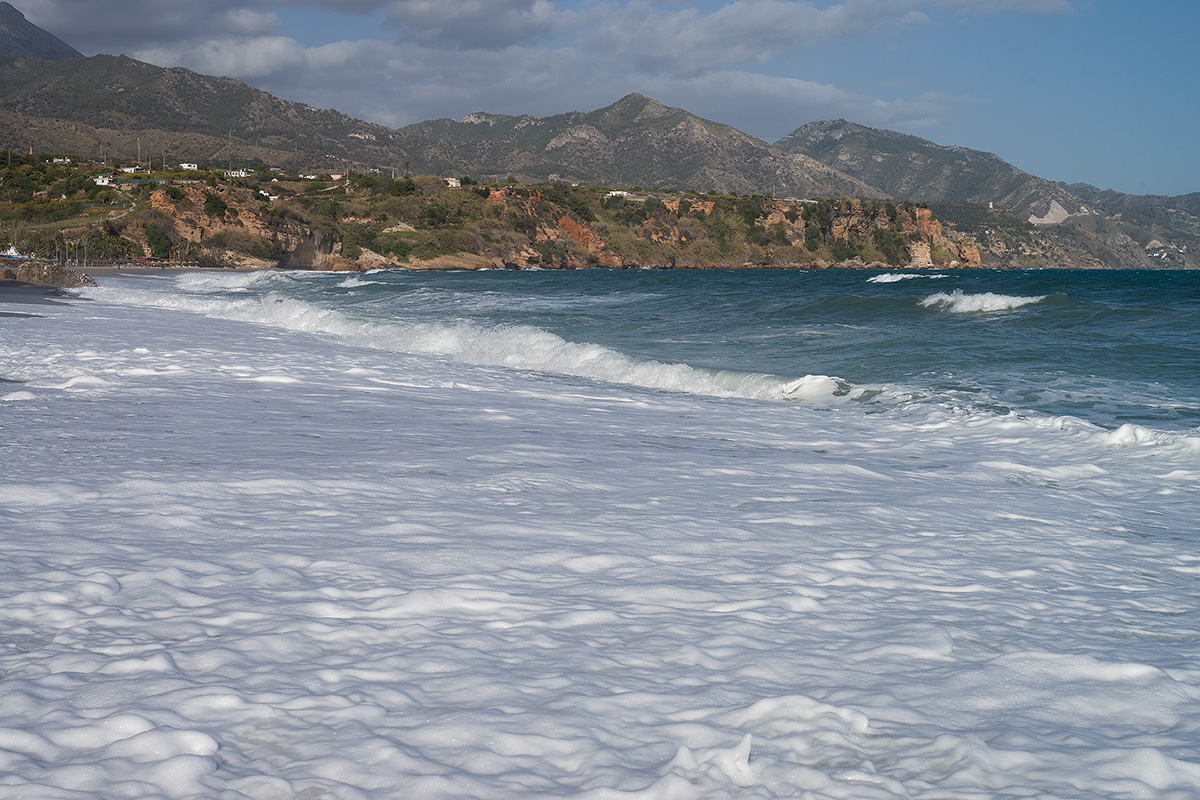 DSC01052.jpg