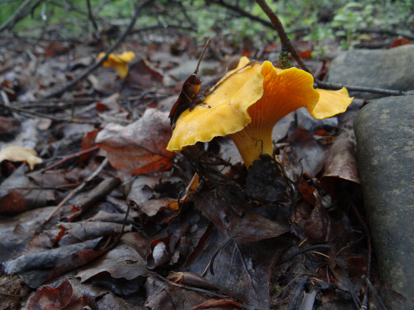 DSC01056.JPG