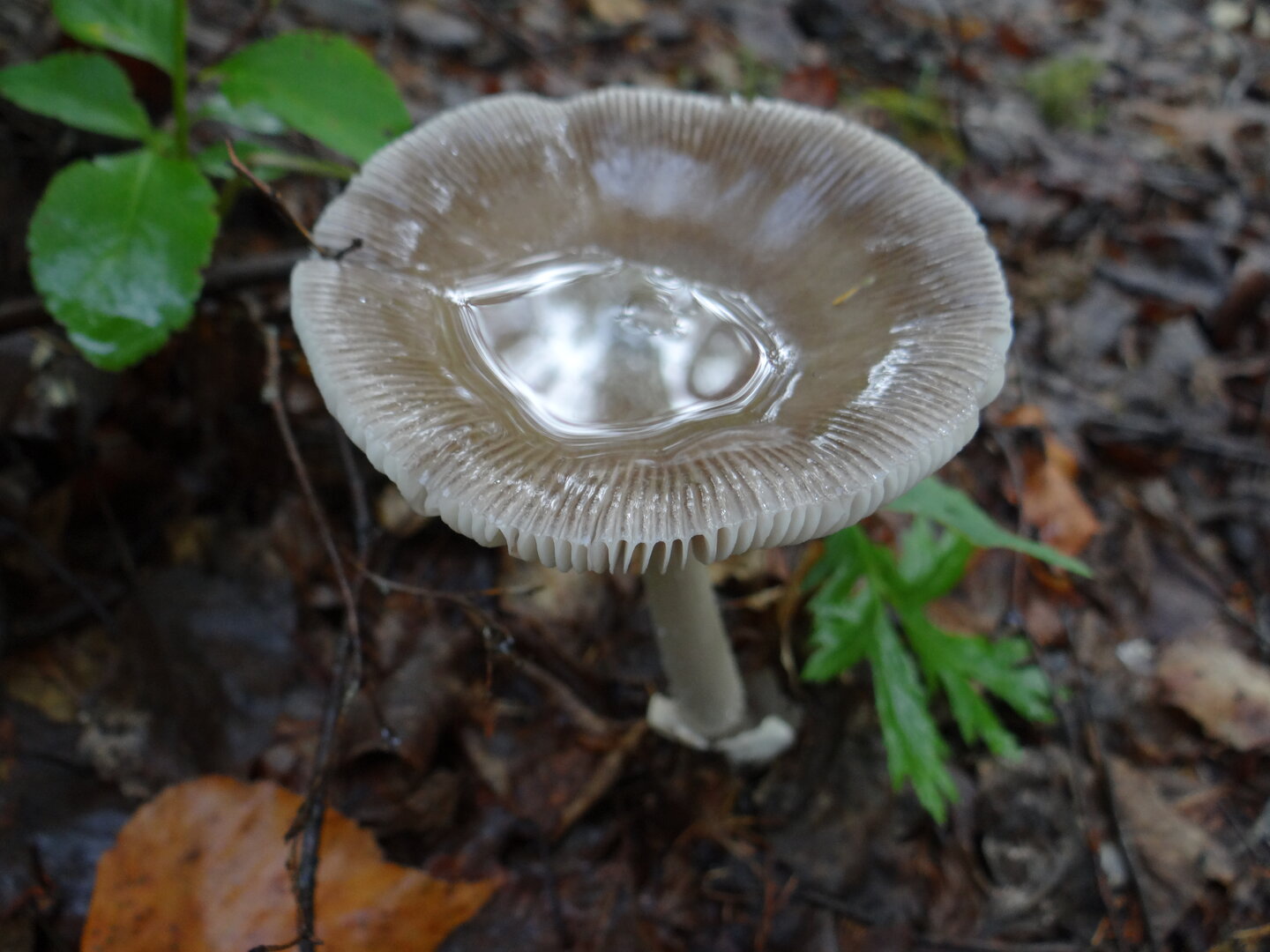 DSC01059.JPG