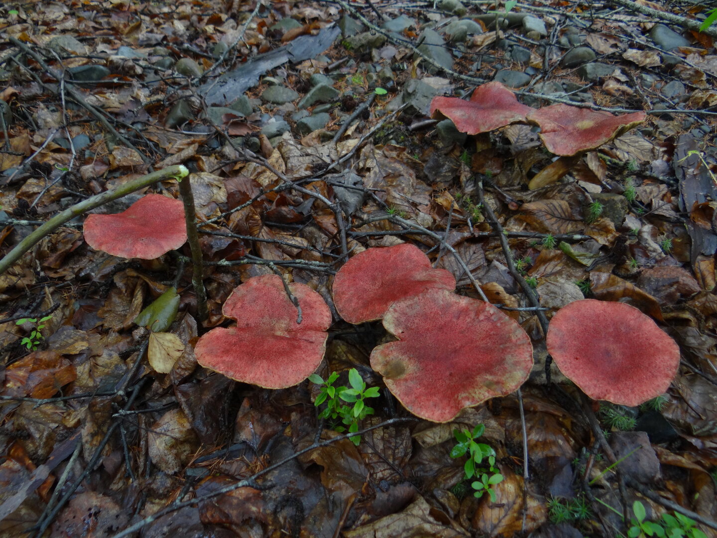 DSC01060.JPG