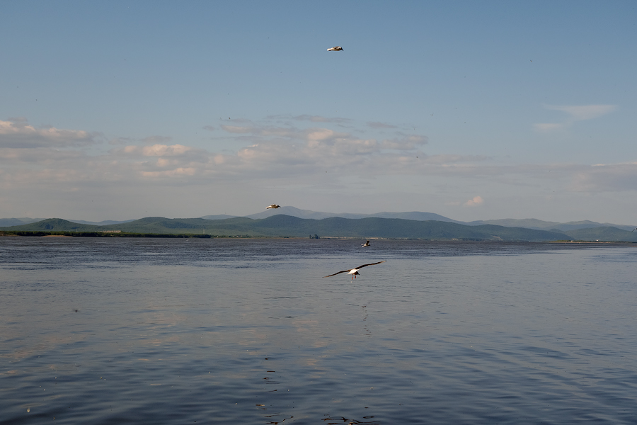 DSC01064.jpg