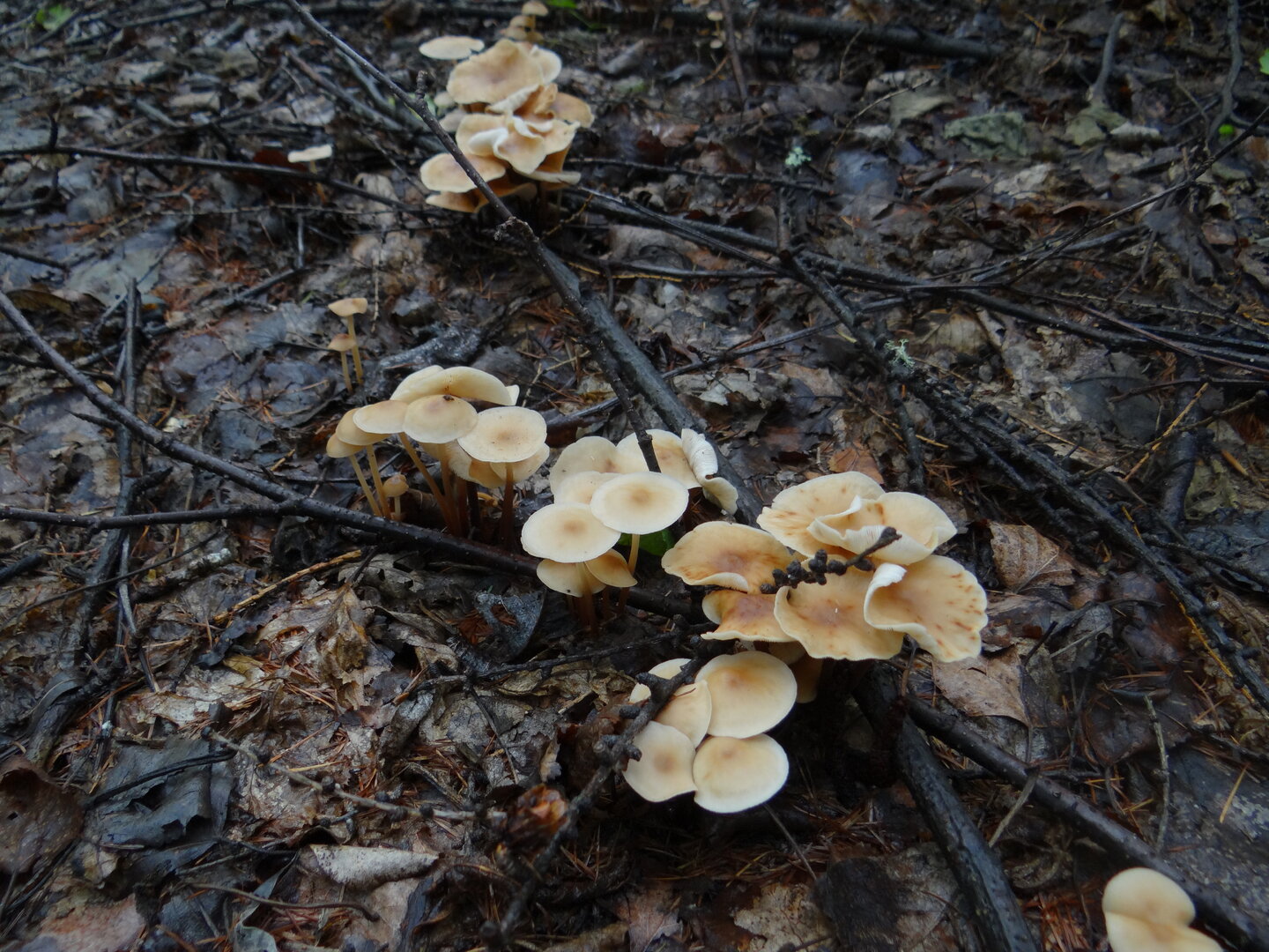 DSC01068.JPG